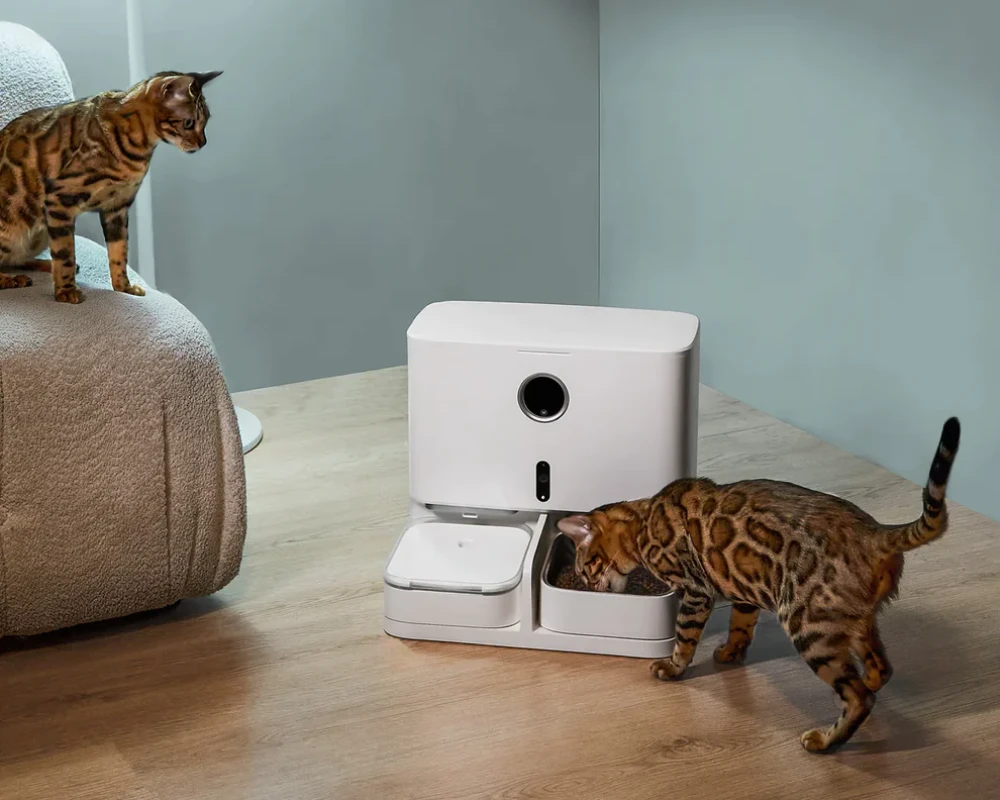 pet automatic food dispenser